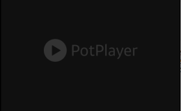 PotPlayer 1.7.21133中文绿色版